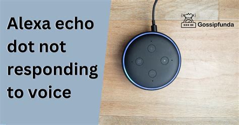 alexa echo dot not responding to voice